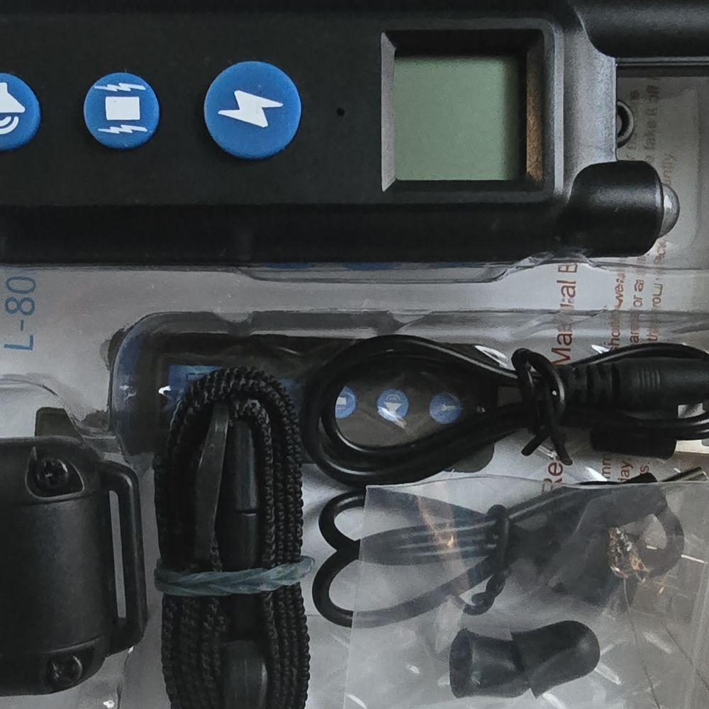 Black Dog Training Collar with Remote